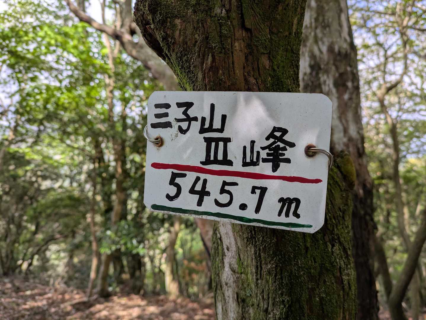 三子山南峰（3峰）ありました
今日も良い山歩になりました🤣