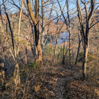 そして小玉ころがしの下りを経て小玉ダムが見えてきた🌟