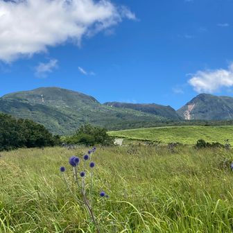 ポツンポツンと…
後ろは、岩井川岳→扇ヶ鼻→肥前ヶ城→久住山→稲星山