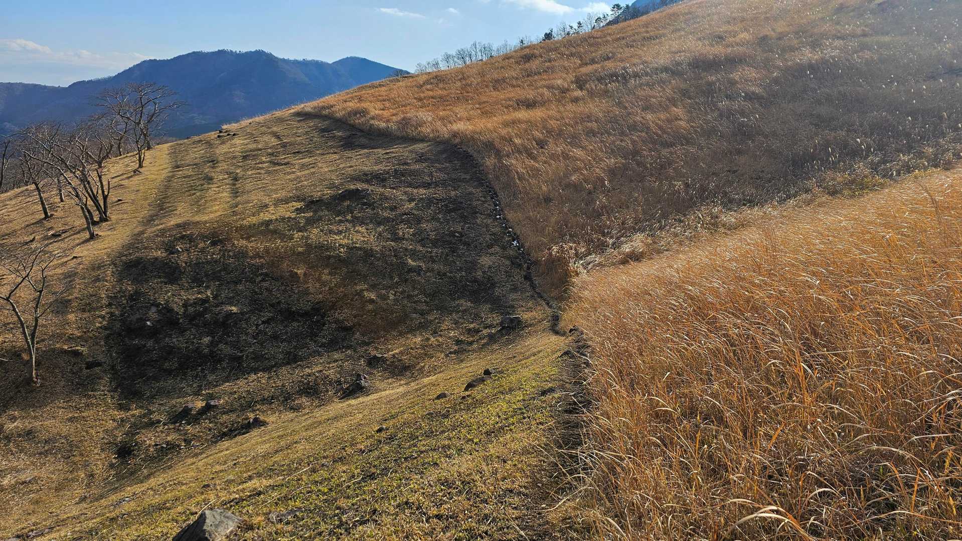 扇山-内山渓谷登山口 周回コースの写真