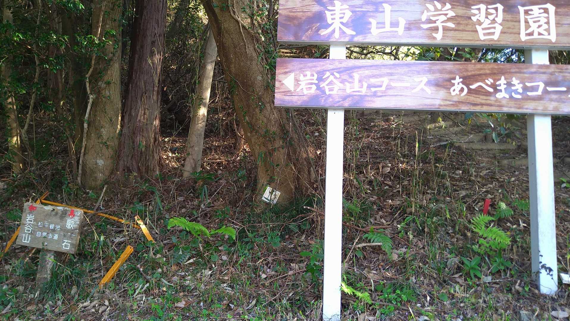 岩谷山 往復コースの写真