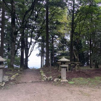 下山していきます🚶🏻
開けたところが見えたので行ってみる