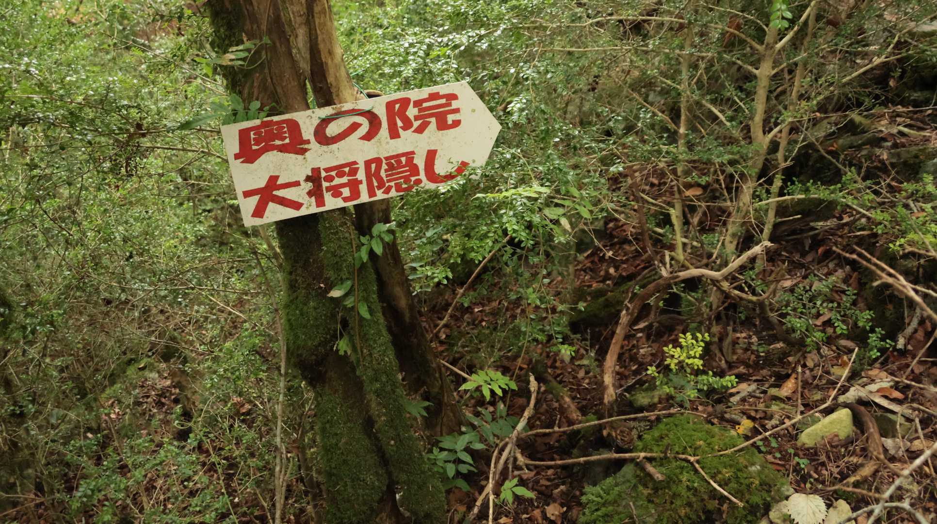 奥の院
大将隠し