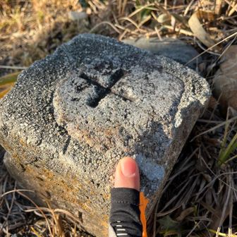 ねこは  三角点ハンターの  やくめを  はたした