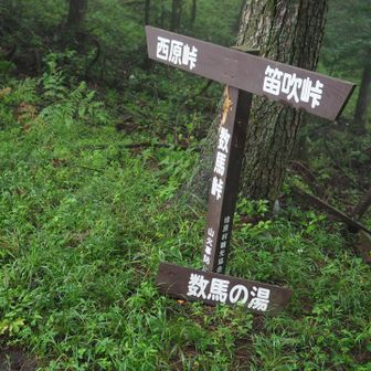 数馬峠に到着
西原峠に向かうか迷いましたが、ここから数馬の湯へと下山することに