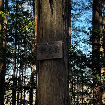 ⑥愛宕山（グレーピーク）近くを通っただけ😅
⑦観音岳
今日、一番迷ったピーク！取り付きがわからなくて、行ったり来たり💦道なき崖？を登る感じでした😅