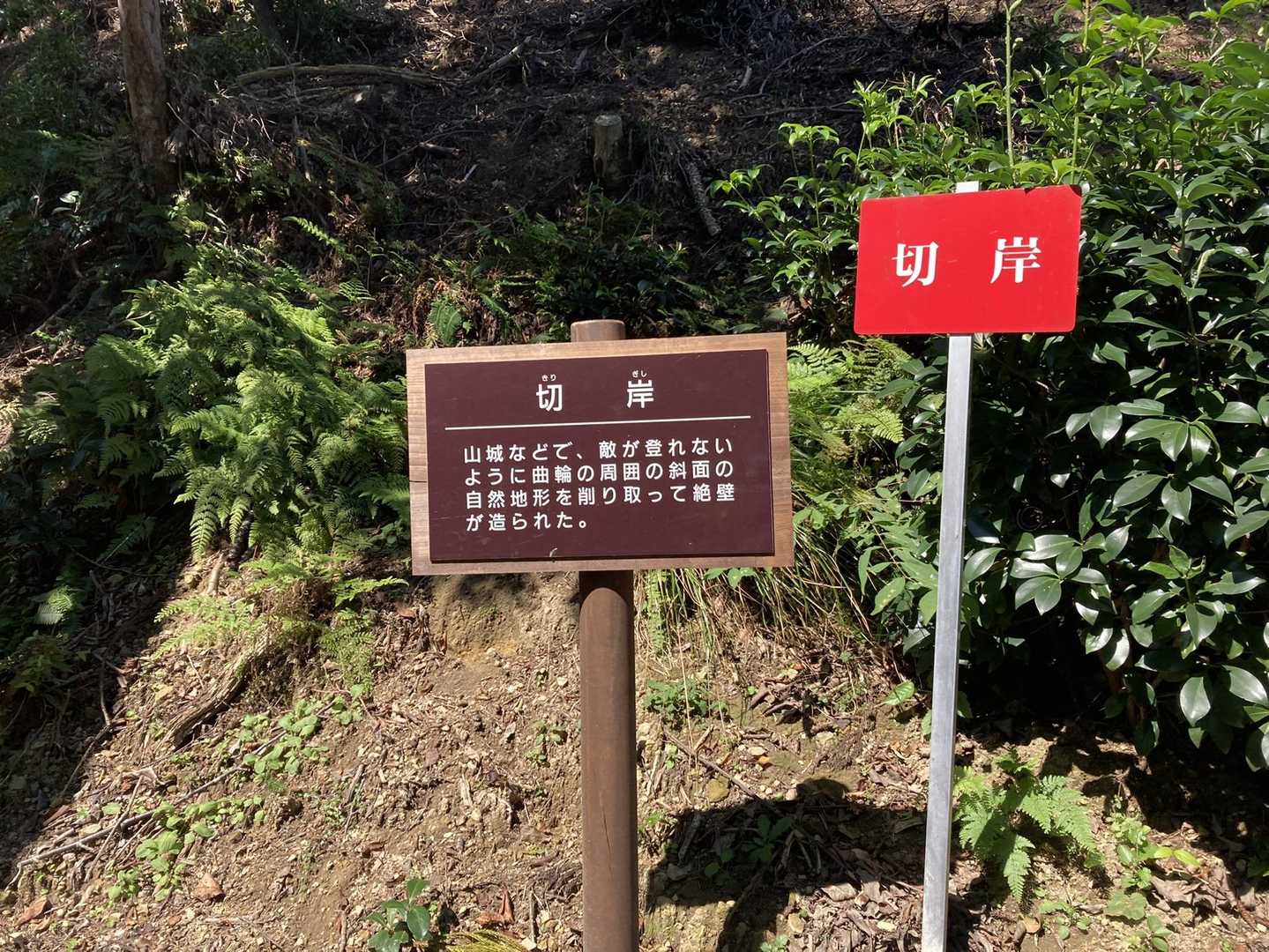 菩提山 往復コースの写真