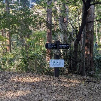 大仏切通しに復帰