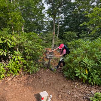 ここね⛰️
景観もなく暑いので、すぐ下山します。