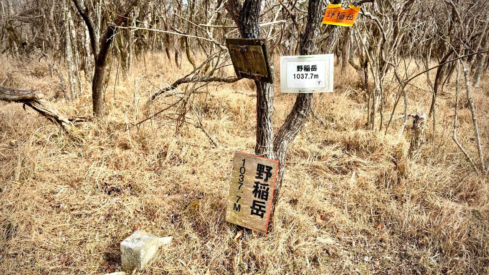 “野稲岳” （のいねだけ）山頂到着 1037.7m 
大分百山
聞いていた通り 残念ながら 開けた👀眺望はありません😢