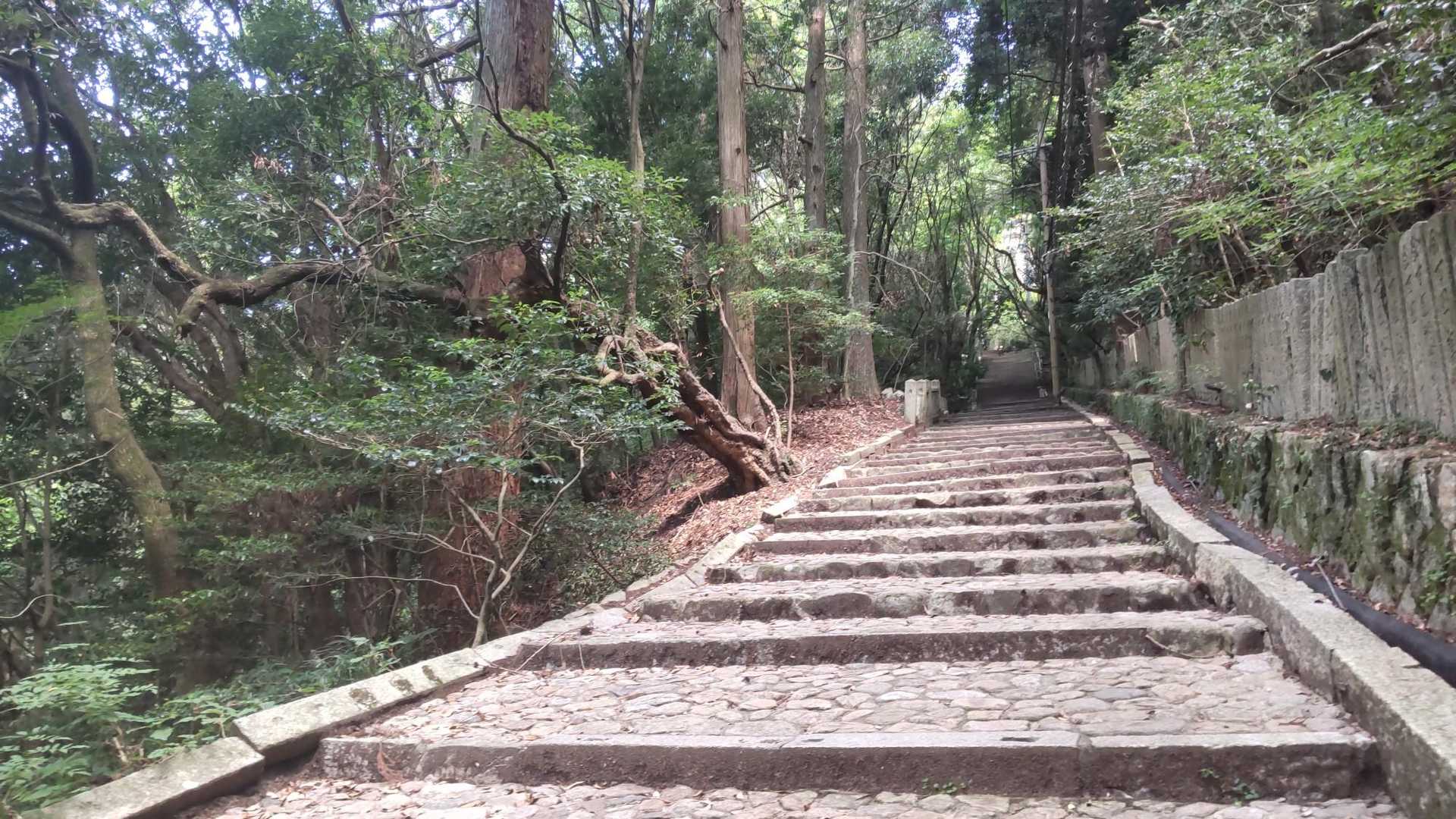 摩耶ケーブル下バス停 周回コースの写真