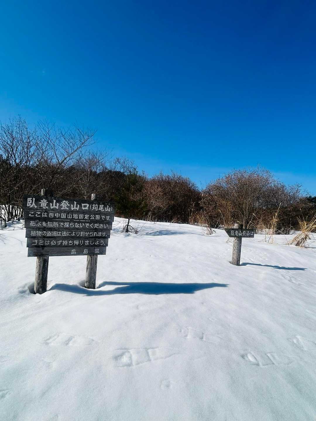 青空と雪のコントラストが最高！