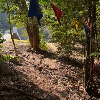ハライドからは昔よりサインが増えて
迷いなく、危険箇所もなく歩きやすい
登山口まで下りてきました