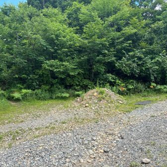登山道の分岐、戻ってきました
