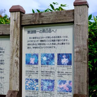 いざ
