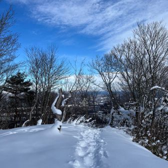 せっかくシュー担いで来たので
装着して周回で降りることにします🐾