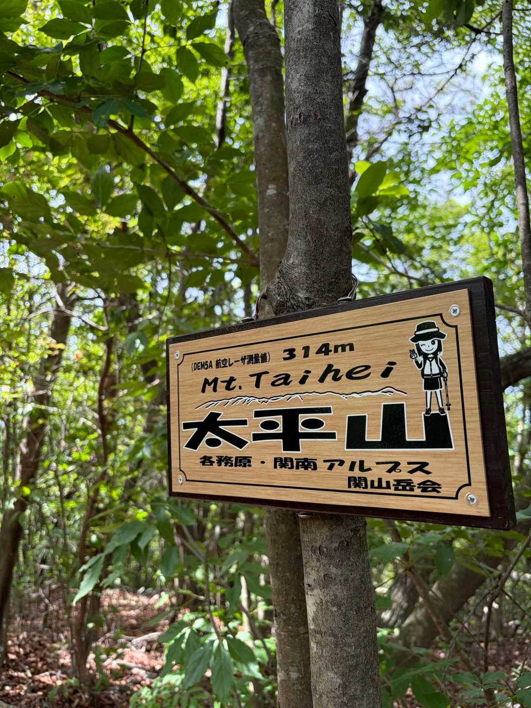 岩坂峠-金山 往復コースの写真