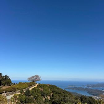 伊勢湾を見るのがなんか好きなんですが、ここからの眺めは最高でした😃