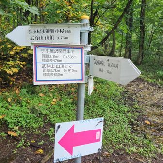 右から降りてきて宝台樹回ってから、再び山頂向けて左から登る