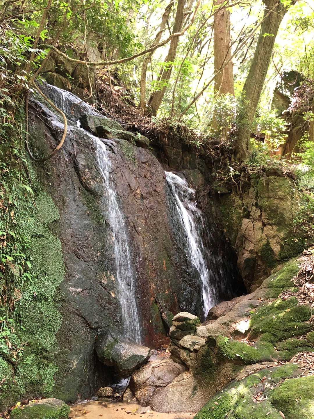 巨石郡登山道入口-金敷城山 往復コースの写真