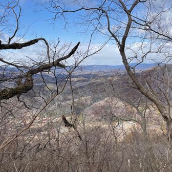 山頂からの眺望、といっても大したことはない。