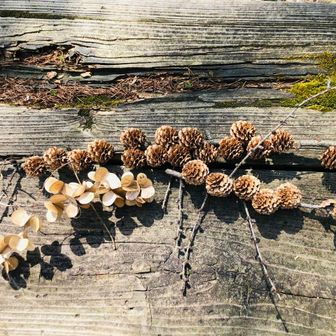 ▲△▲うたたね△▲△