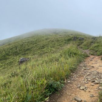 頂上にも雲