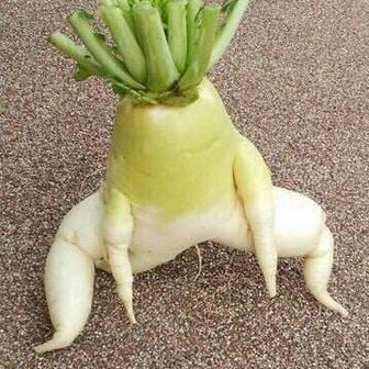 おちゃいちゃい