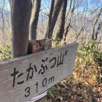 こちらにもより