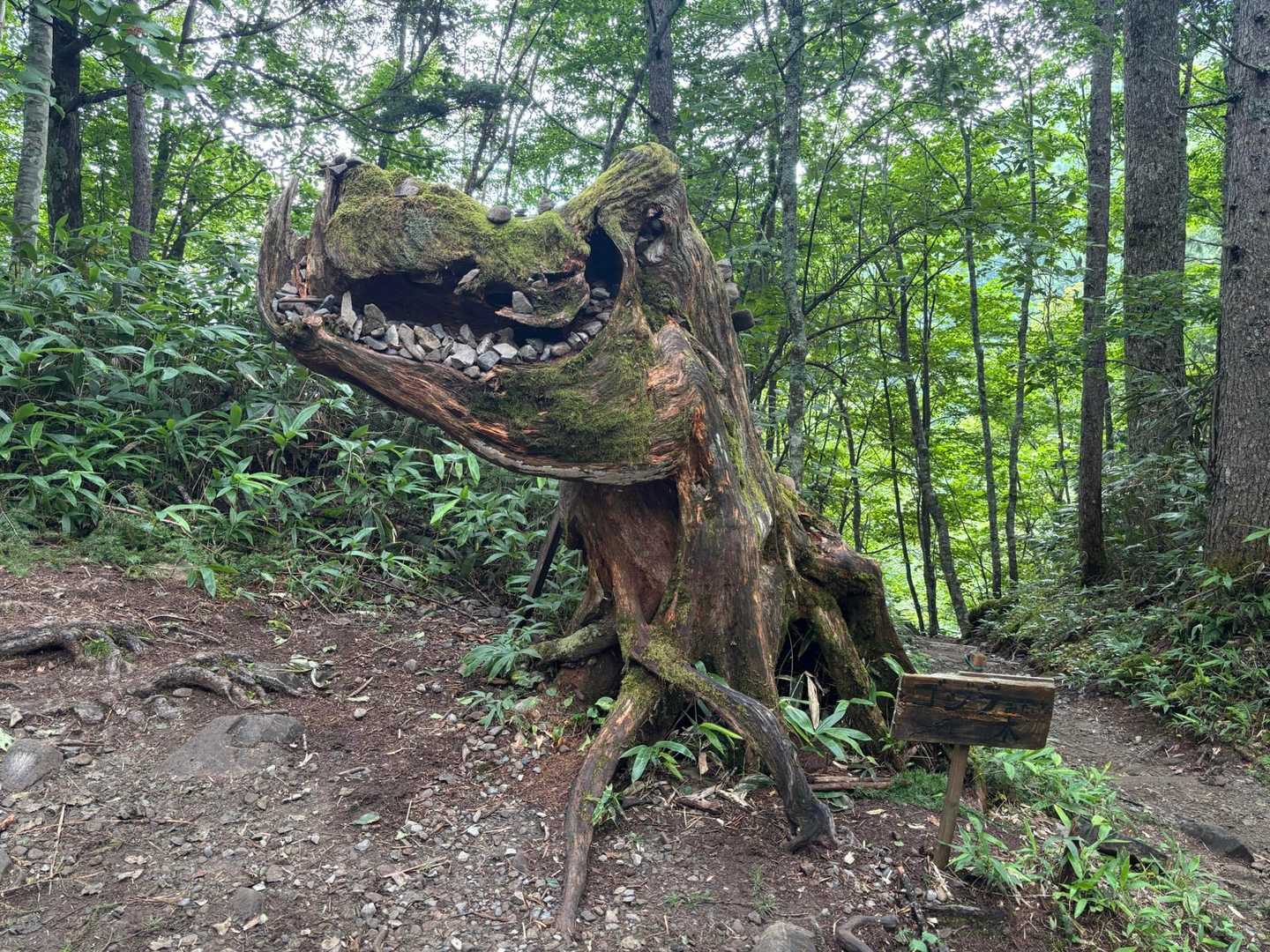 三股登山口-蝶ヶ岳-蝶槍 往復コースの写真