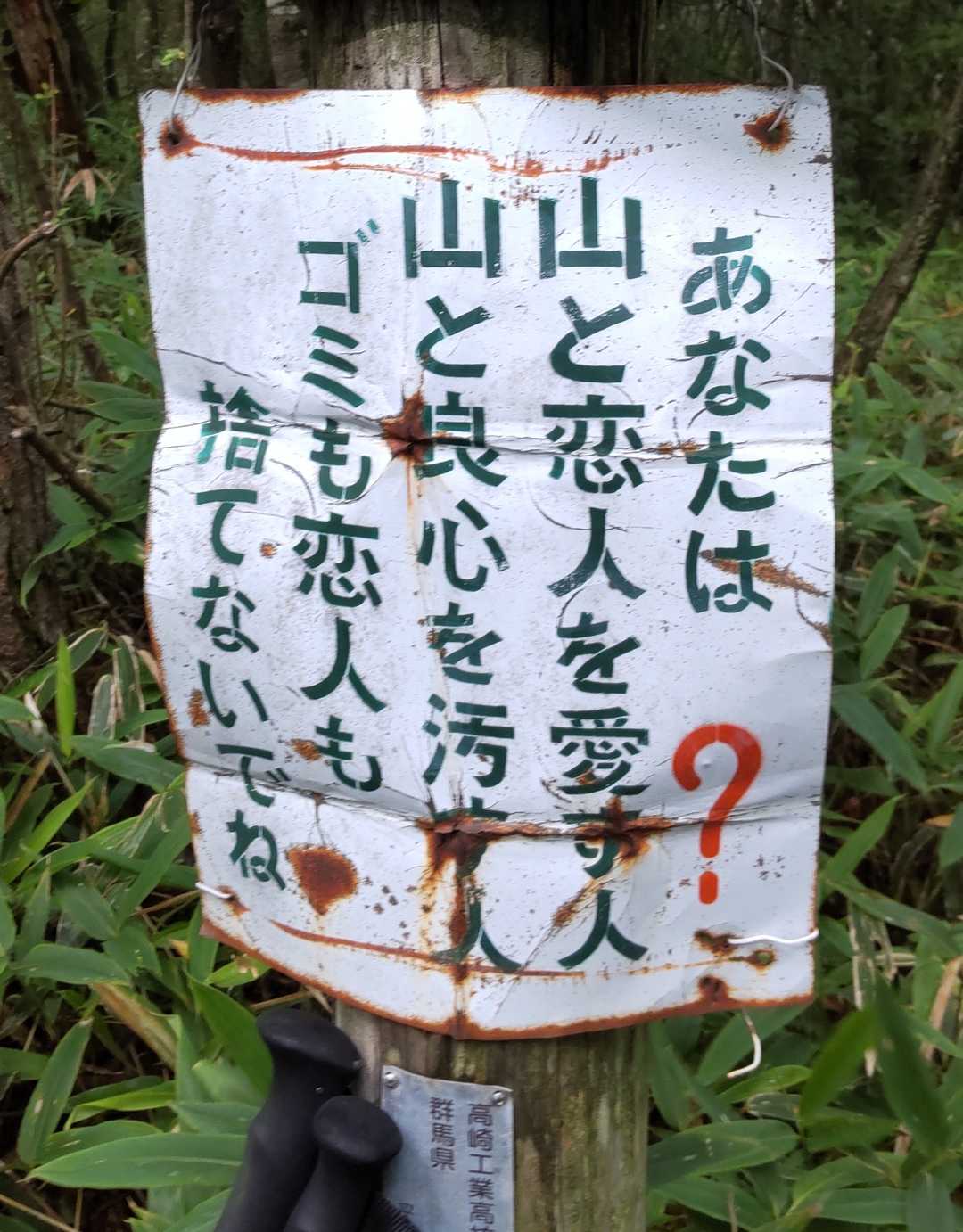 私も捨てないでね