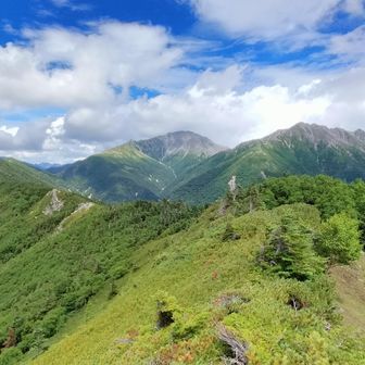 北荒川岳までは眺望アリ。そっから先は樹林帯に入るも、新蛇抜山は眺望アリ👍