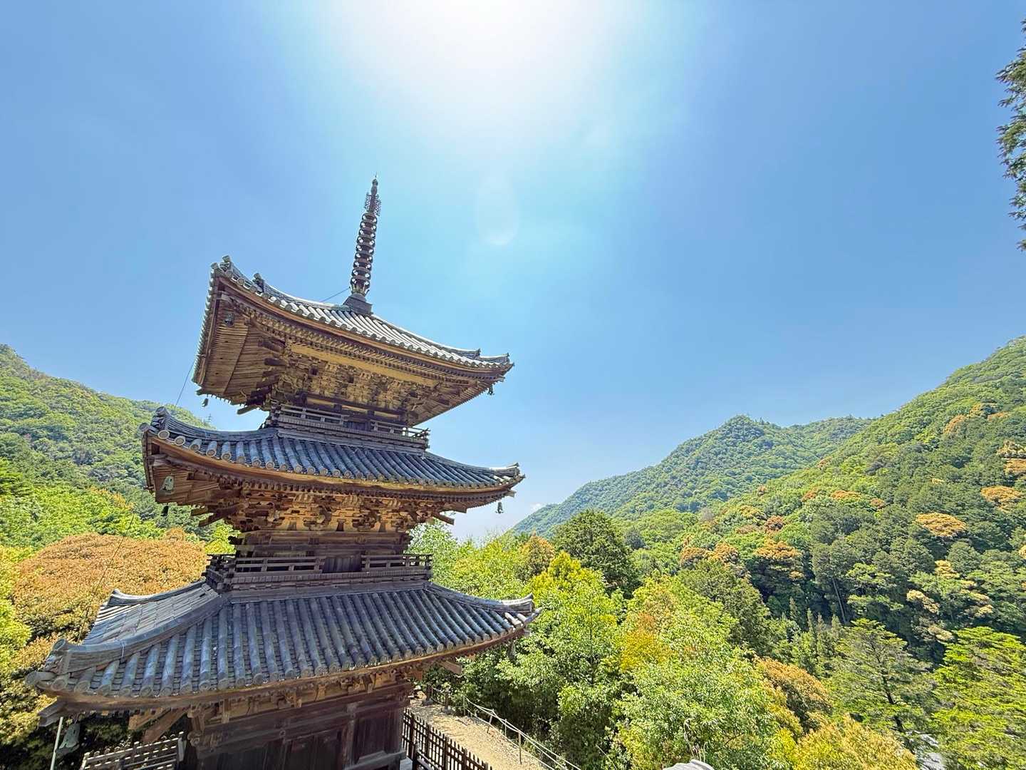 こんな山の中にこんなの作っちゃうんだから昔の人はすごい。