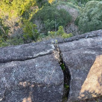 雌岳の方も到着ー
道標はなしでした
