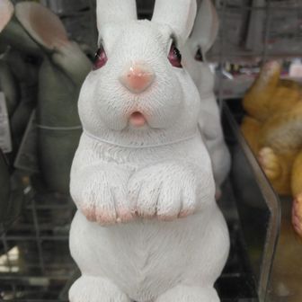 のろまなうさぎ