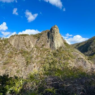 晴れてサイコー☀️