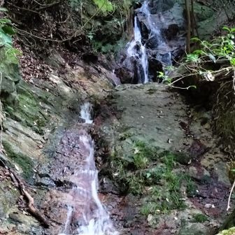ヤマップの開始ボタンを押していないのに気づき慌てて押す😅