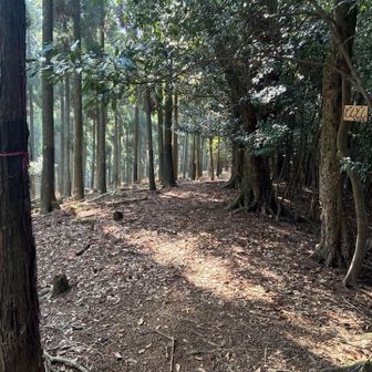 山頂っぽくないけど、ここまでかなりの登りだった