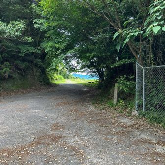山頂からすぐ下の広場からは