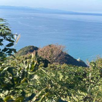 海の向こうには佐渡ケ島、岬に灯台が見えてます。