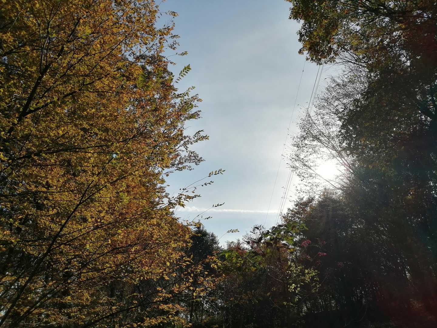 📷