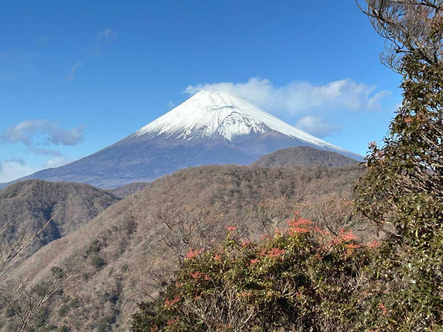 池の平-位牌岳-一服峠-袴腰岳-馬場平-愛鷹山 周回コースの写真
