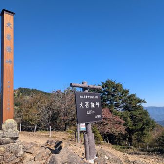 大菩薩嶺ブルー