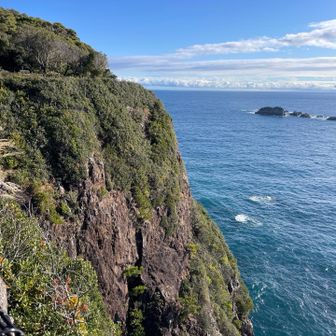 朝食を食べてもシャキッとしないので散歩に出たら