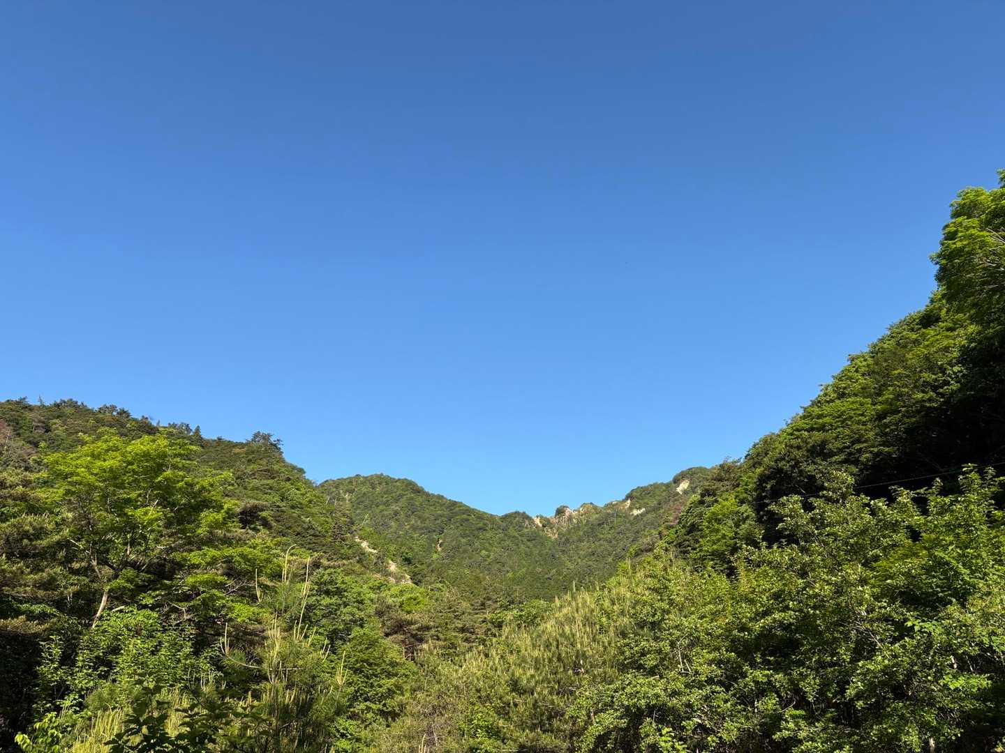 いい天気！