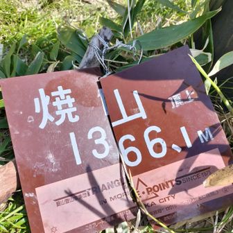 藪山のプレートある様な山なの?