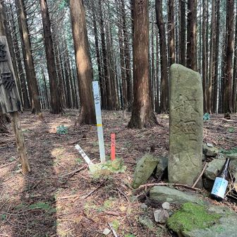 飴なめながら喋ってたら、自分の唾でむせてしまった！
嚥下機能低下気味。