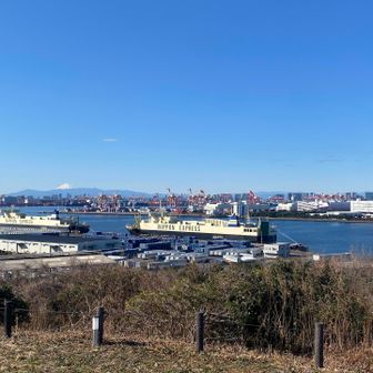 西の小山から。
東京湾からも、富士山ってこんなに大きく見えるのね〜🗻