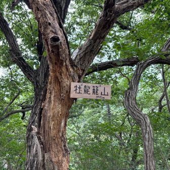 牡龍籠山 山頂
オタツゴヤマと読むそうです🔍