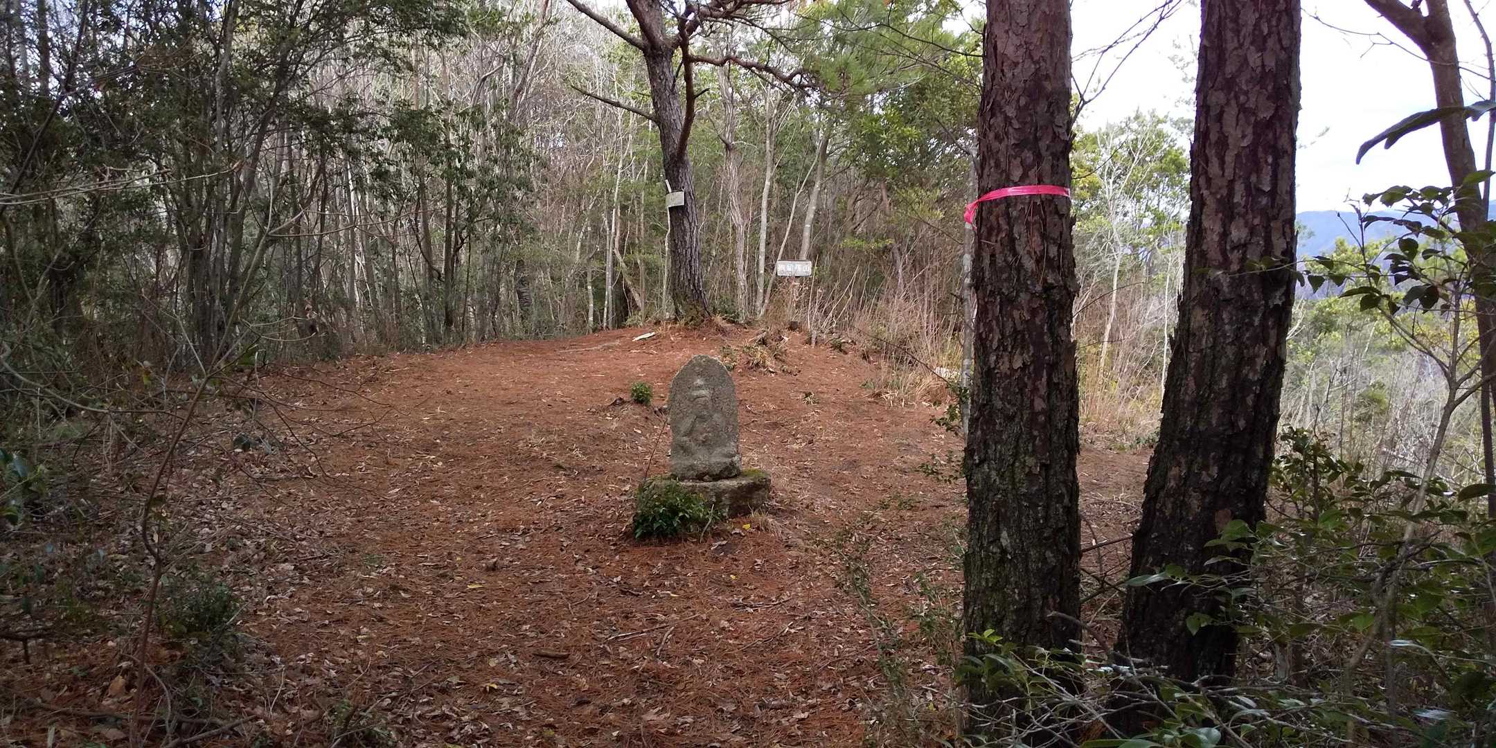 狗留孫山の山頂に着きました